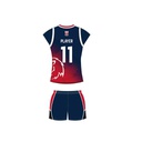 Y7-Y9排球球衣 - DCB Lions   套装