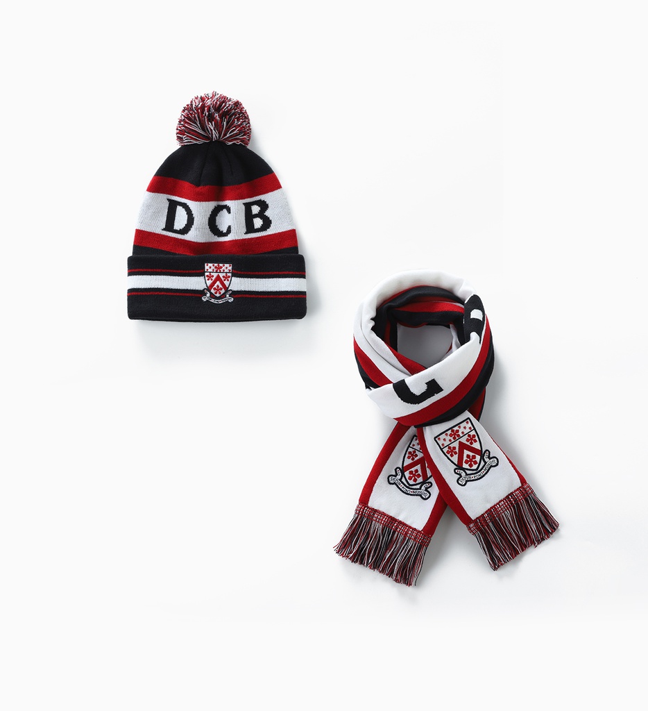 Adult Beanies and Scarf