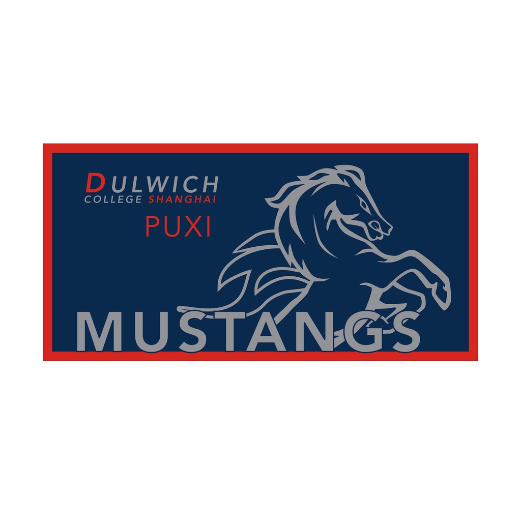 DCSPX Mustangs Swim Towel